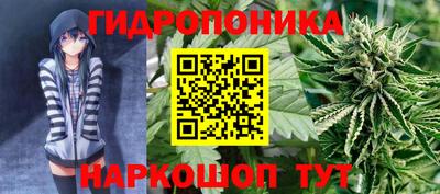 МДПВ Заволжье