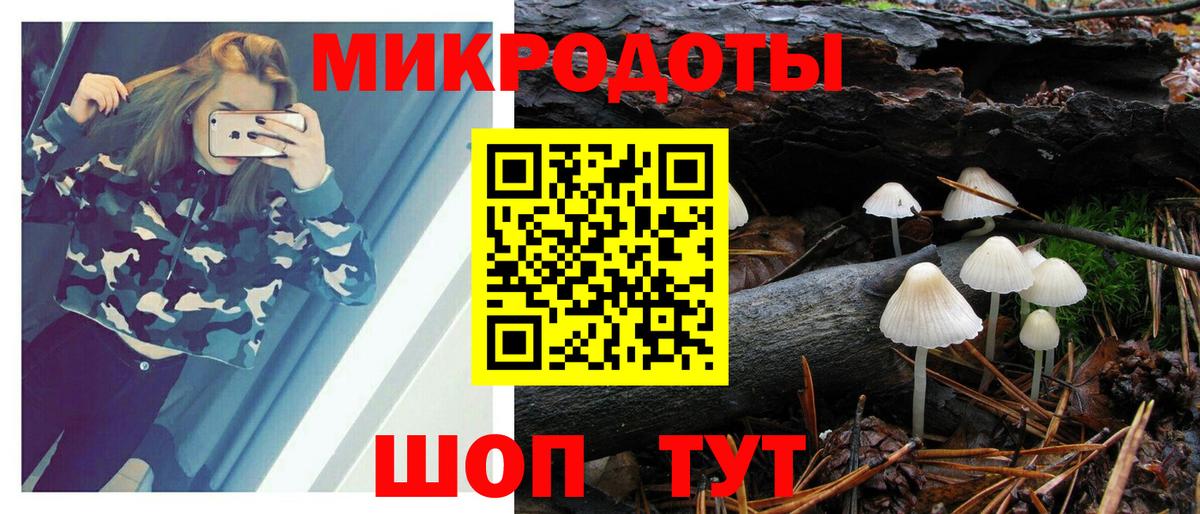 Псилоцибиновые грибы Psilocybe  Вход с VPN  Лянтор 